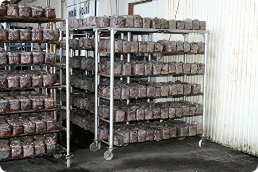 しいたけ栽培台車