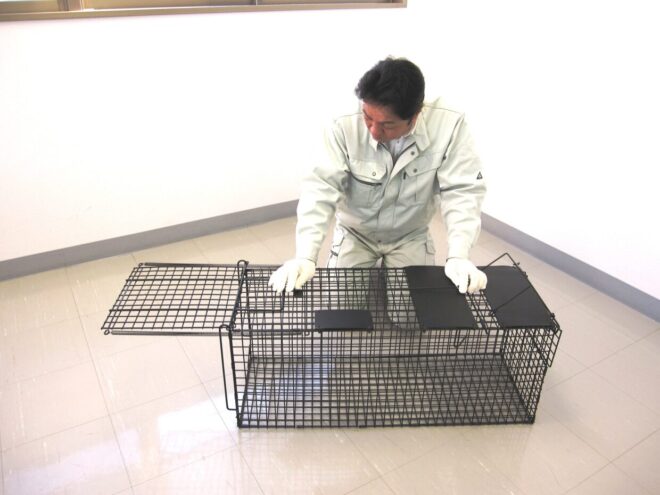 捕獲罠組み立て