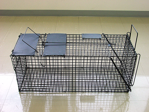 捕獲罠　セット手順