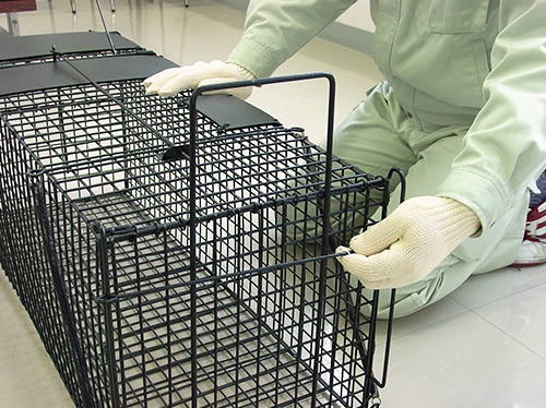 捕獲罠のストッパーを上げる