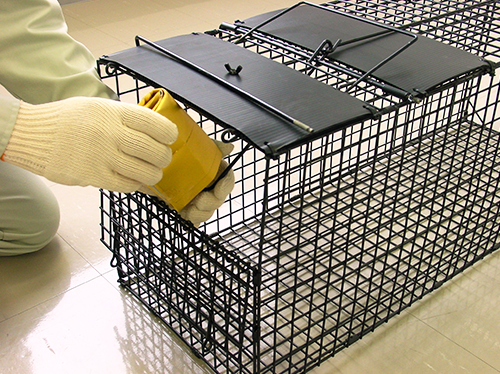 捕獲罠　餌掛け