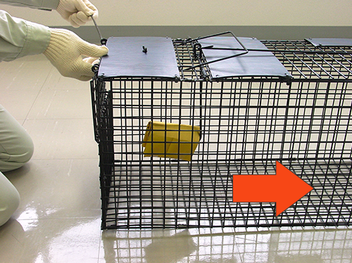 エサ掛け用扉の差し込みバーを元に戻しナットを締めます