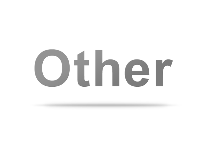 その他