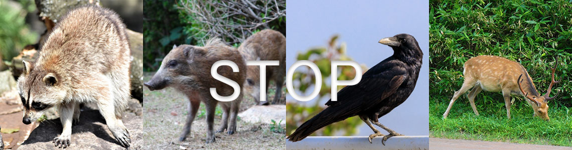 有害鳥獣の捕獲罠